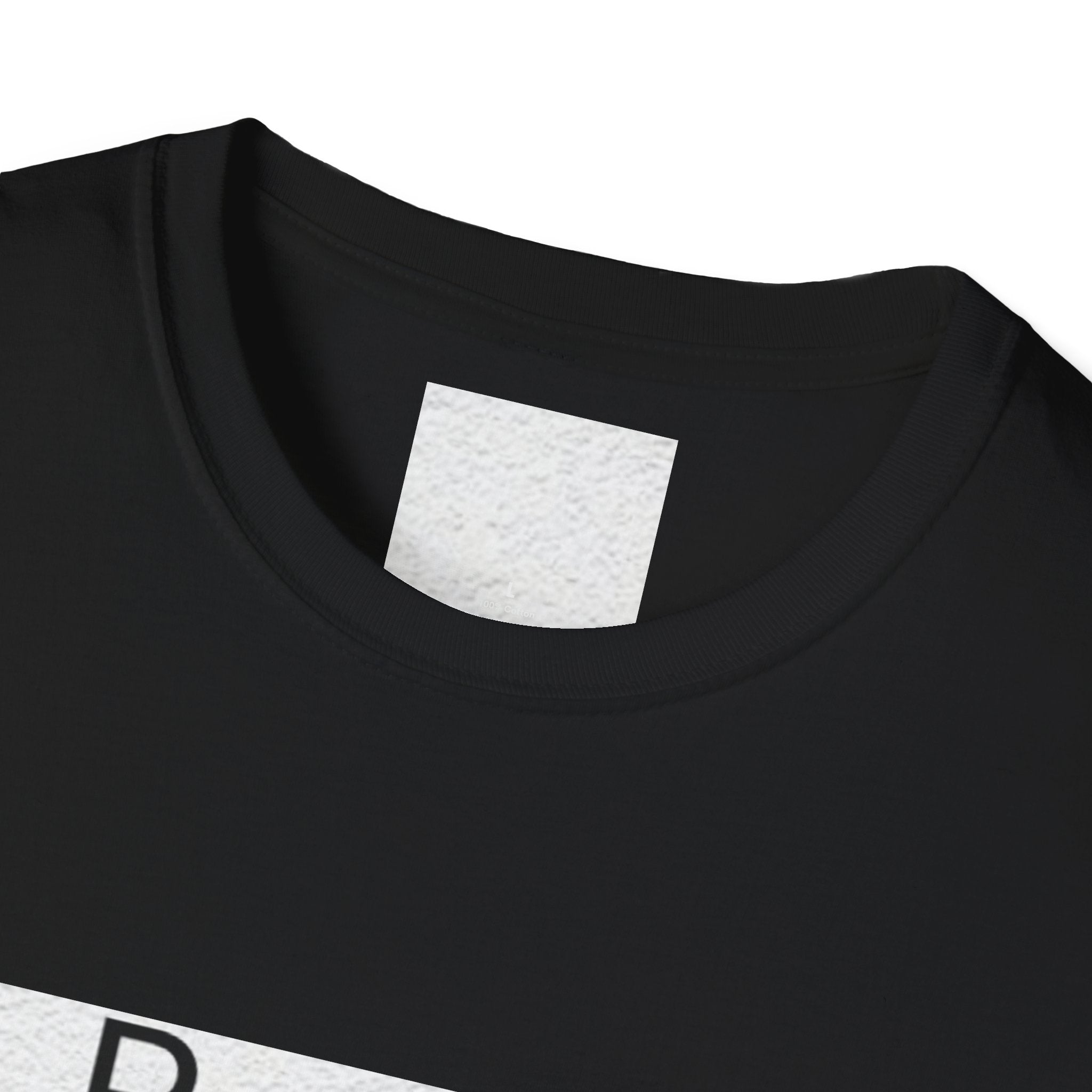 Unisex Softstyle T-Shirt, Basic Tee, Casual Wear, Unisex Shirt, Everyday Tee, Fashion Gift, Soft Shirt, Daily Wear, Gift for Friends, Comfortable Fit