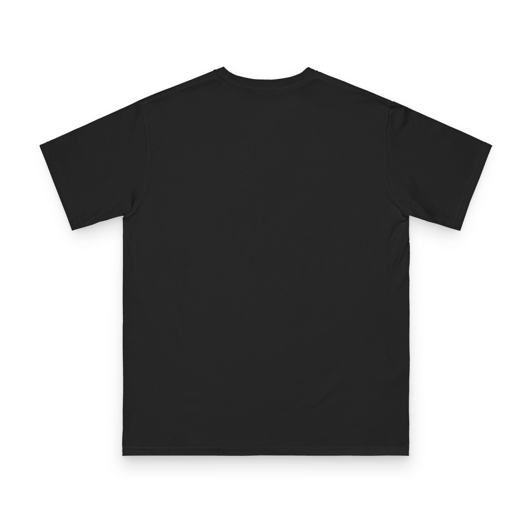 Organic Unisex Classic T-Shirt